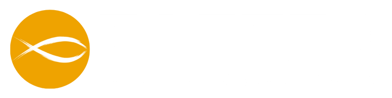 FAETEO - Teologia EAD e Capelania